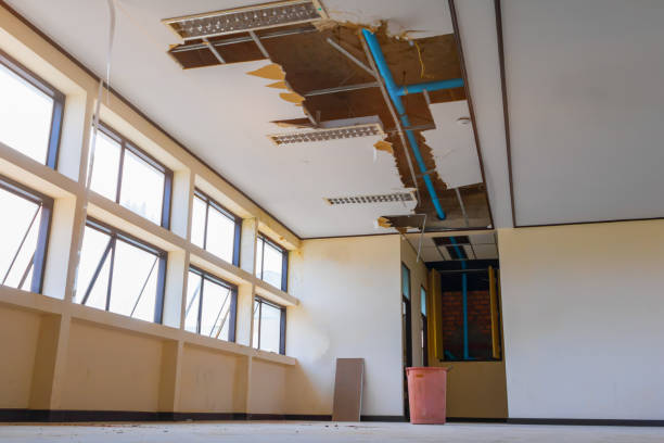 Best Flooded house restoration  in Port Ewen, NY