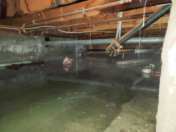 Best Sewage cleanup and water damage restoration  in Port Ewen, NY