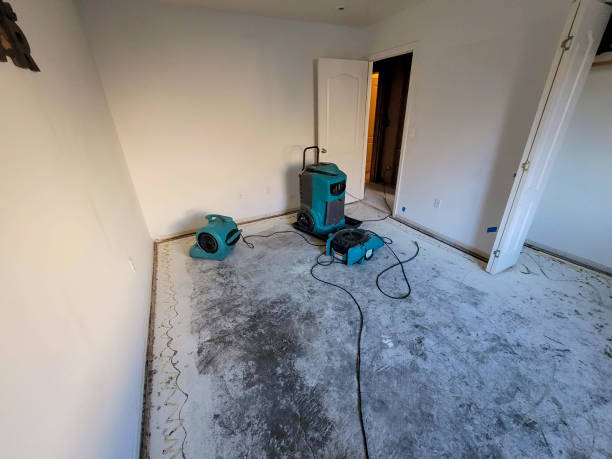 Best Ceiling water damage repair  in Port Ewen, NY