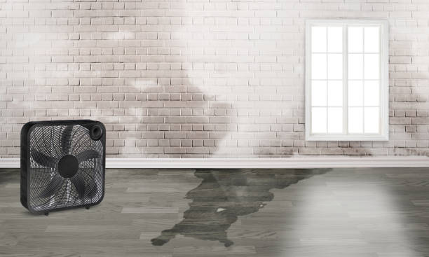 Fire Damage Restoration in Port Ewen, NY