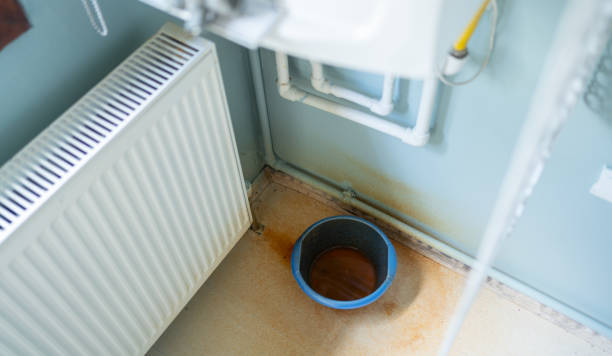 Best Mold removal after water damage  in Port Ewen, NY